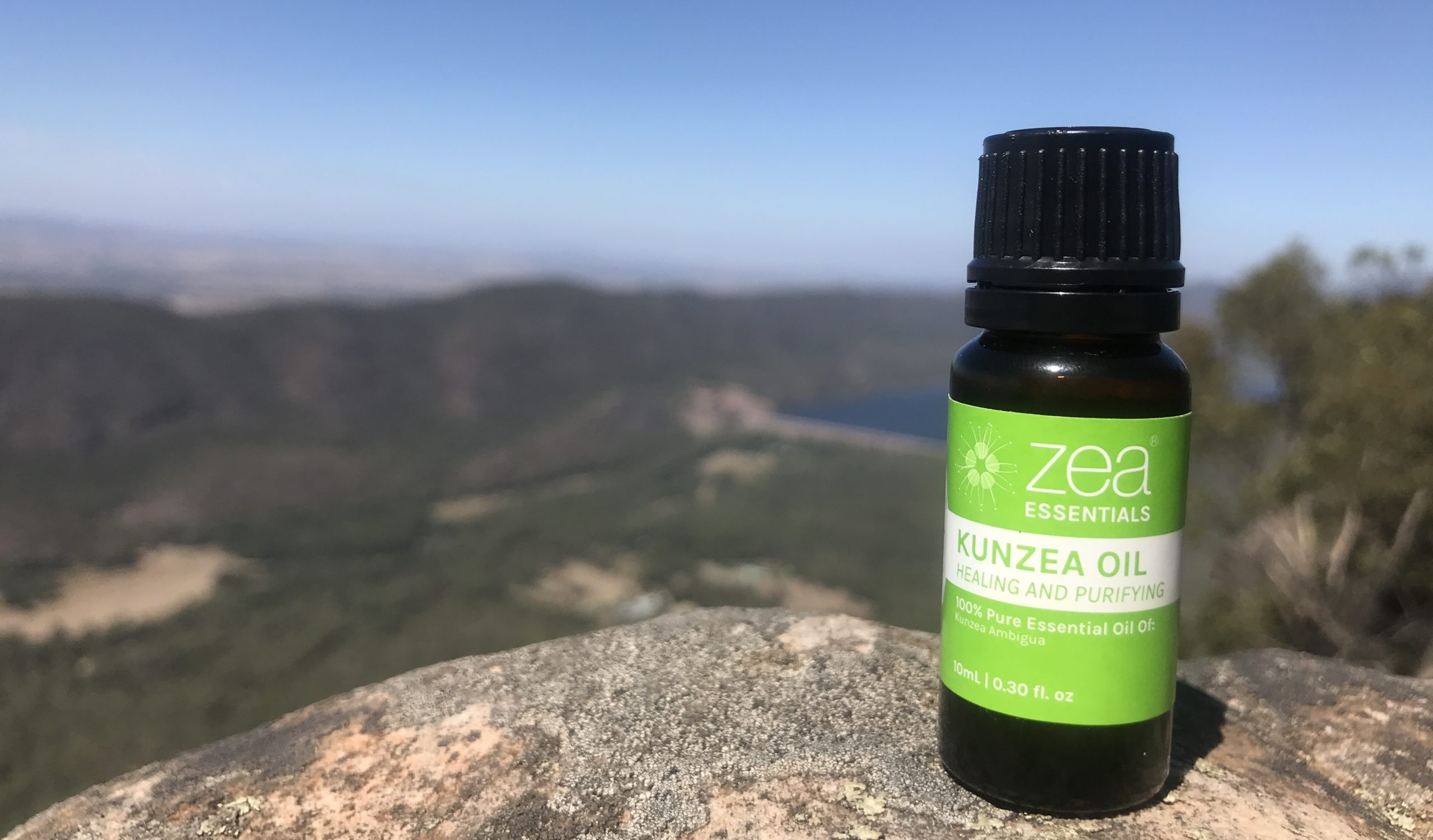 Best Outlet to Buy Pure Kunzea Essential Oil