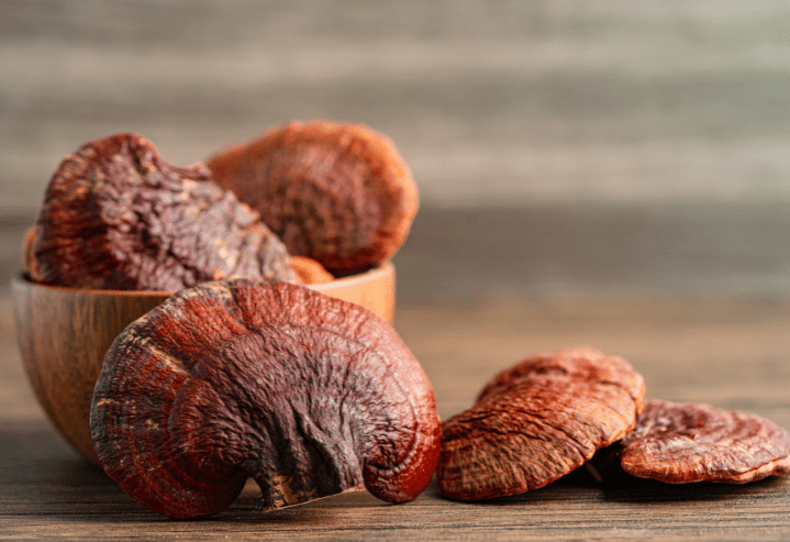 use reishi for anxiety